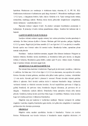 www.speros.lt
